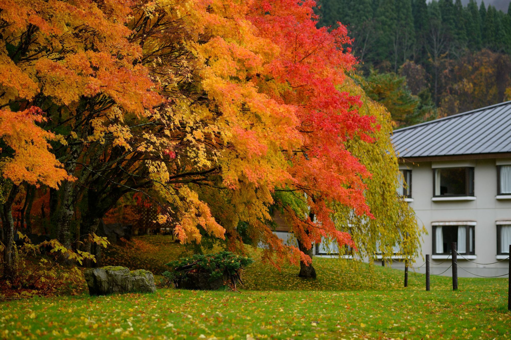 Towada Prince Hotel Kosaka Buitenkant foto